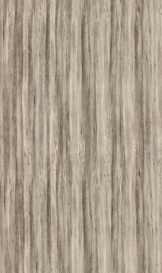 MDF GLOSS MEISTER TAUPE TROPICAL