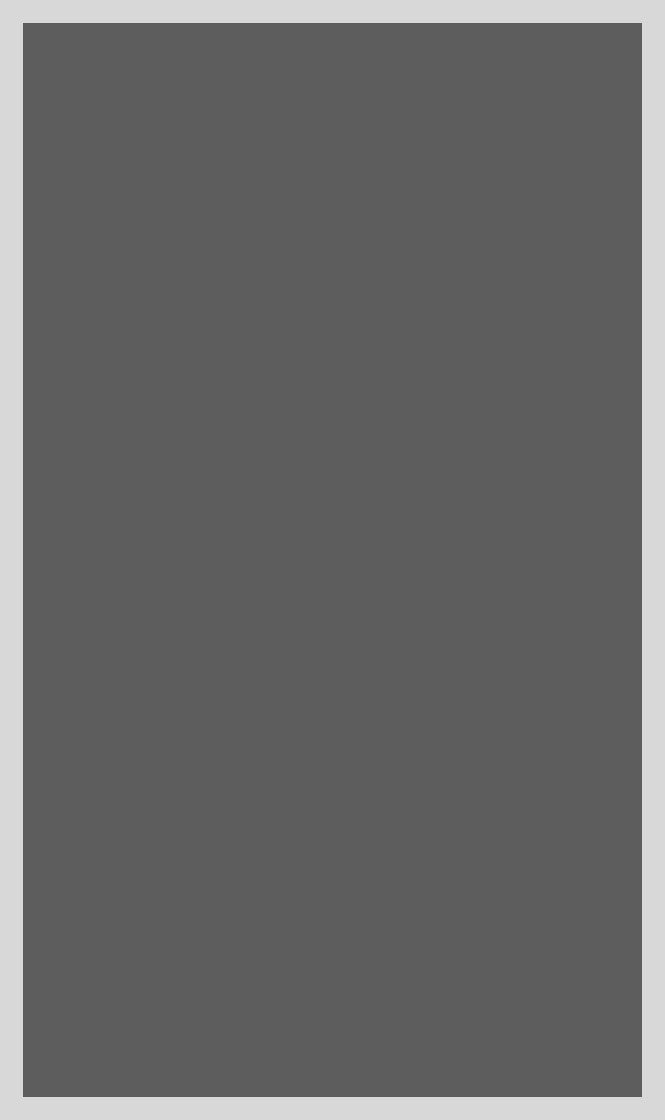 MDF GLOSS MEISTER SLATE