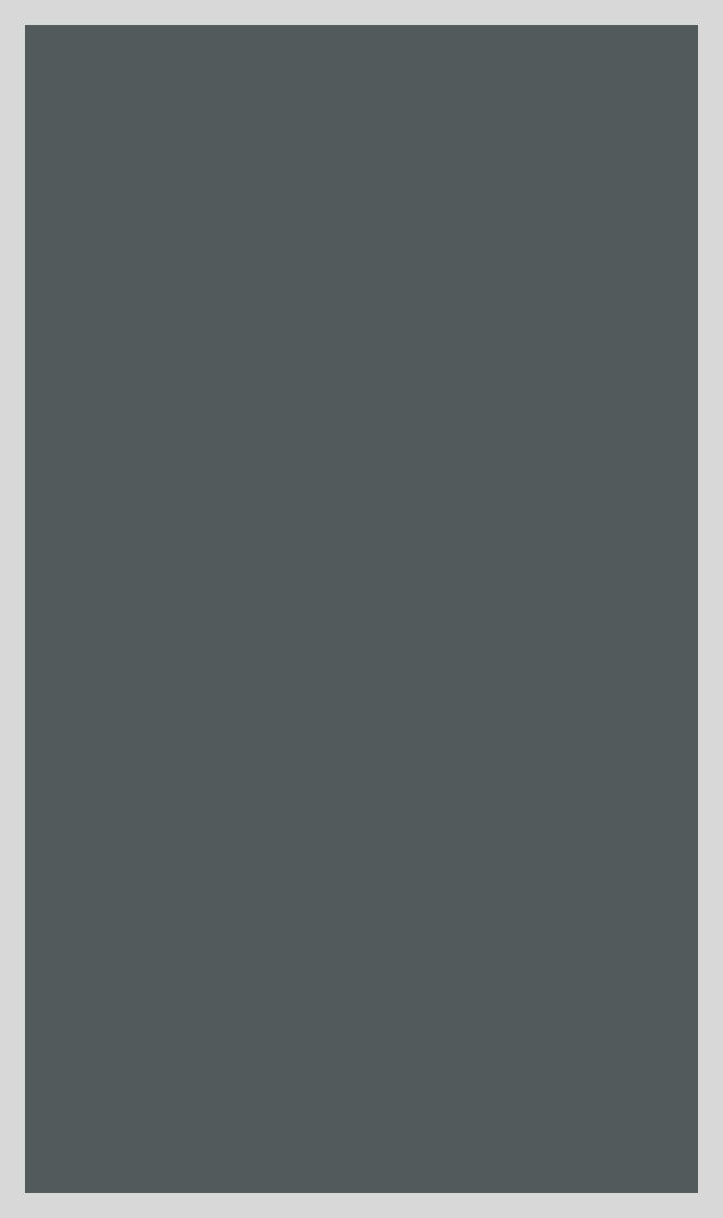 MDF GLOSS MEISTER SILVER FROST