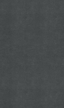 Solid dark gray color swatch