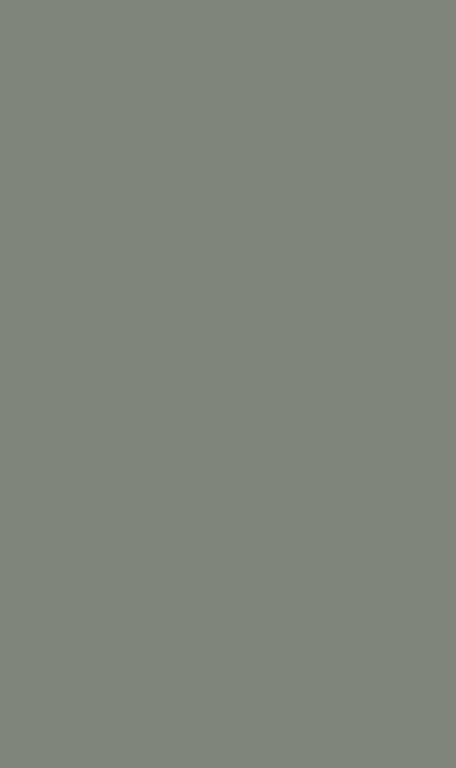 LAMINATE HPL DOVE GREY BRUSH